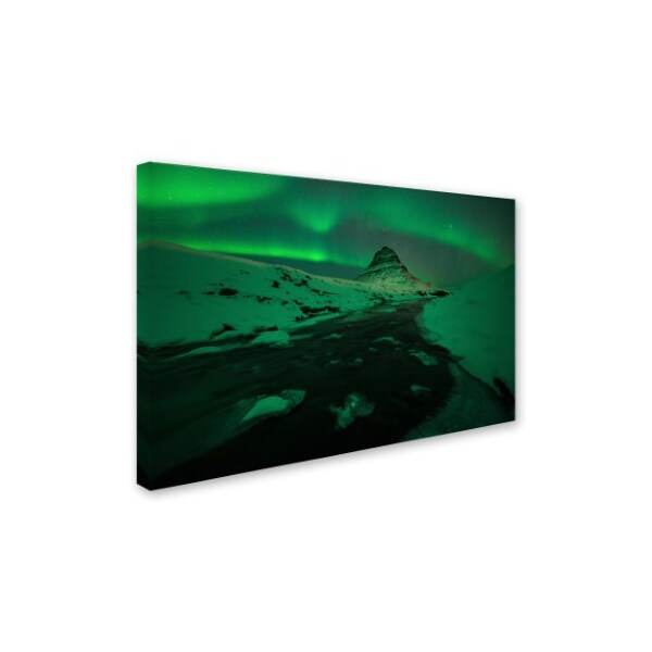 Mathieu Rivrin 'The Green Planet' Canvas Art,16x24